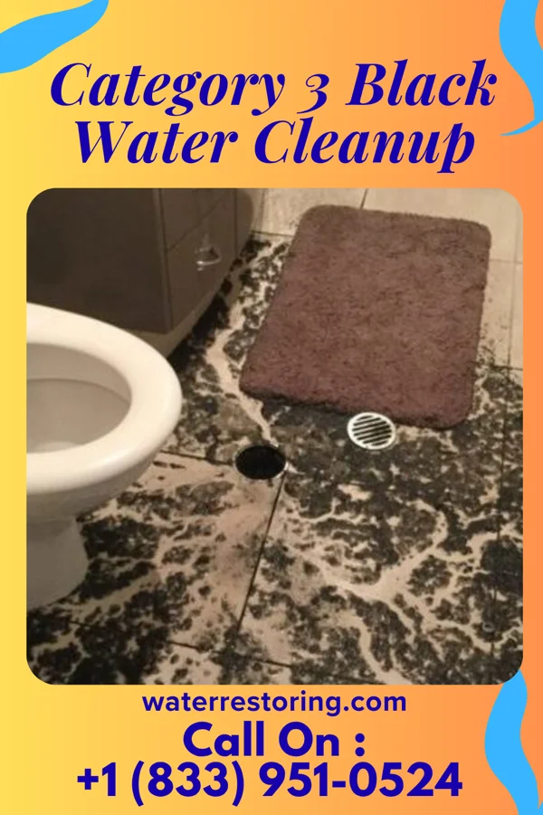 Category 3 Black Water Cleanup in Smithfield, NE